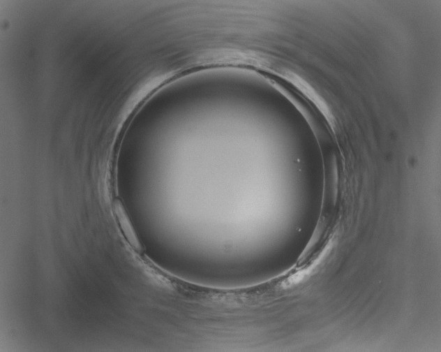 X0000051250901200506171132