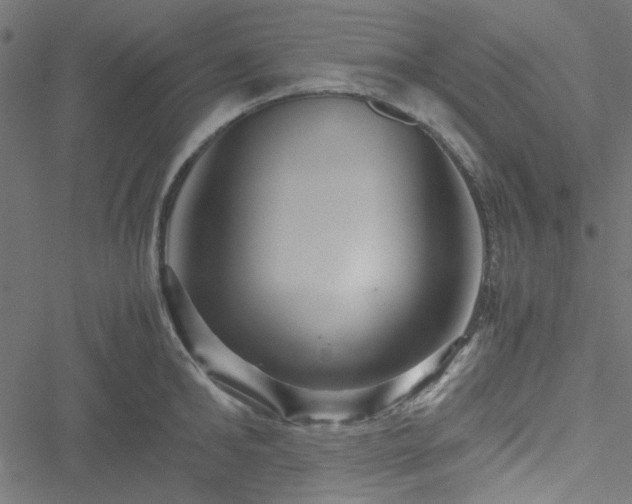 X0000051250902200506171132