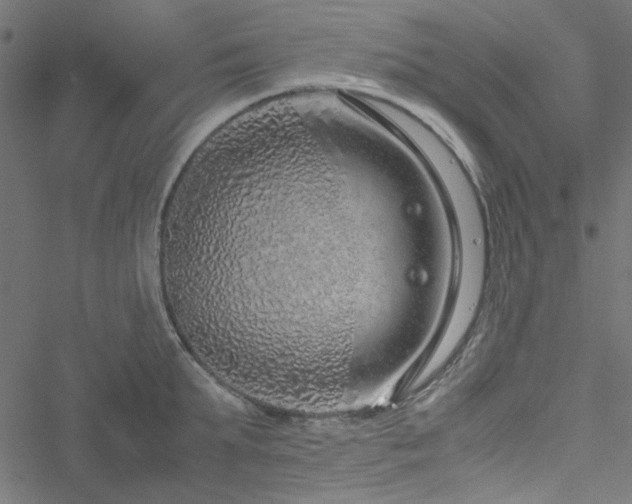 X0000051250903200506171132