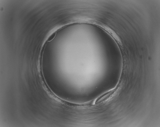 X0000051250904200506171132