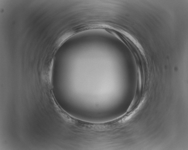 X0000051250905200506171132