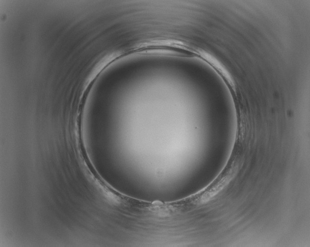 X0000051250906200506171132