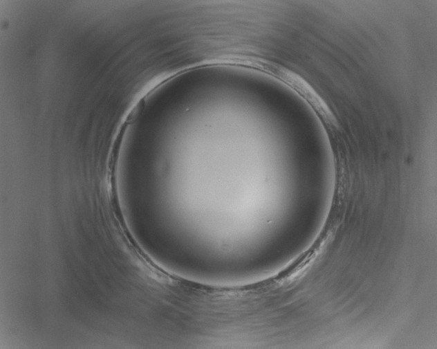 X0000051250908200506171132