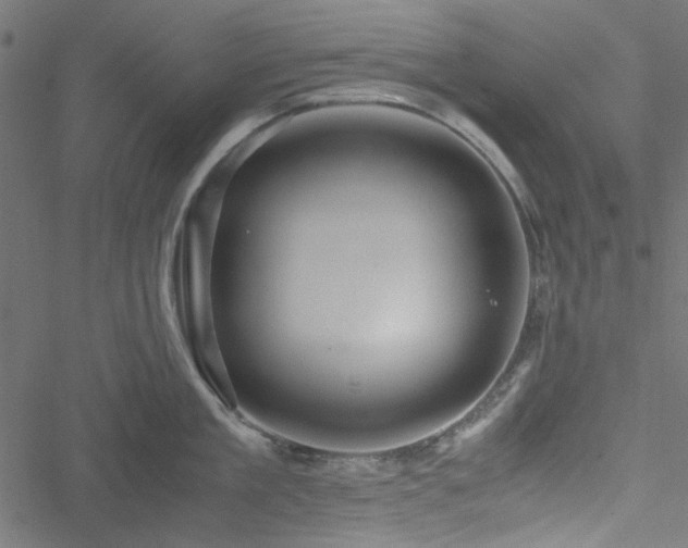 X0000051250909200506171132