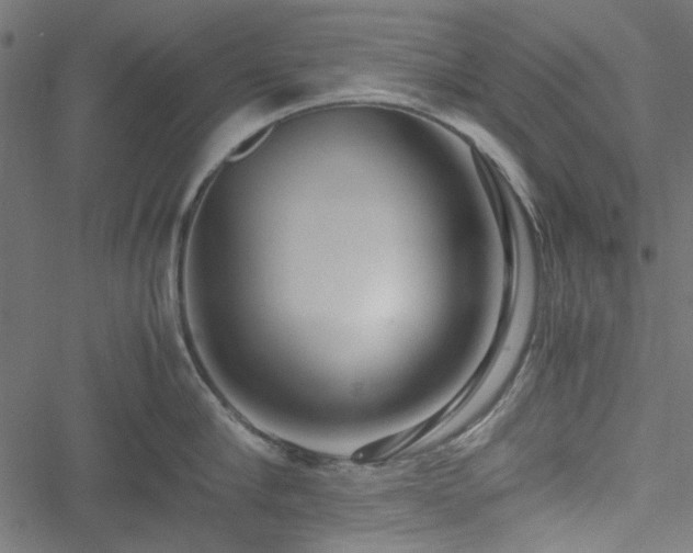 X0000051250910200506171132