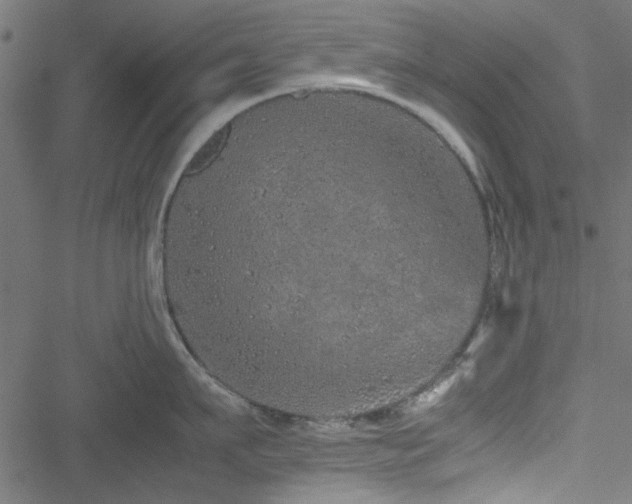 X0000051250911200506171132