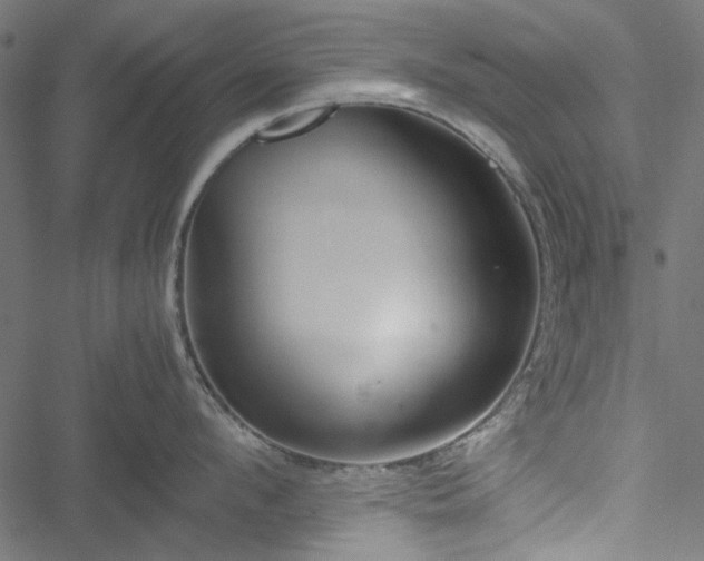 X0000051250912200506171132