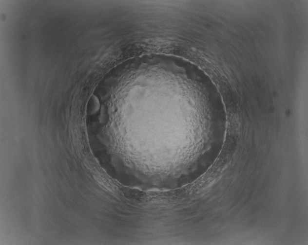 X0000051250913200506171132