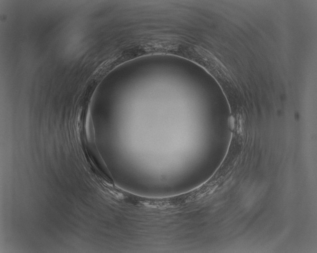 X0000051250915200506171132