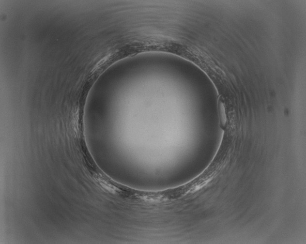 X0000051250916200506171132