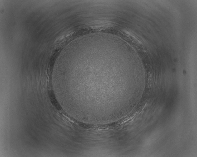 X0000051250917200506171132