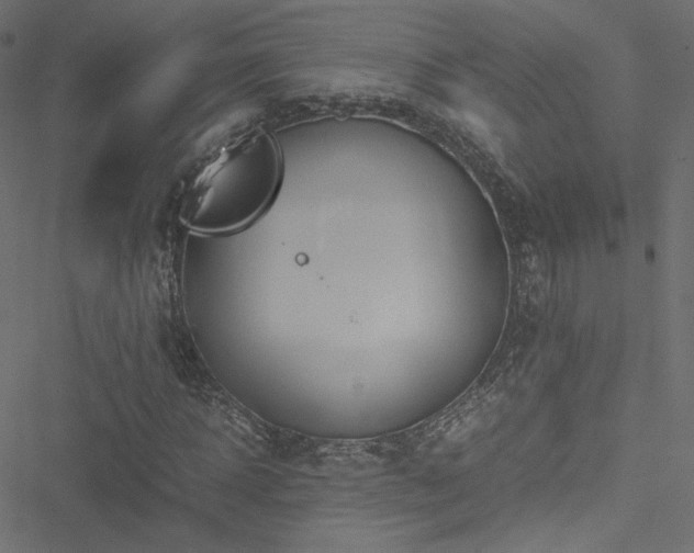 X0000051250918200506171132