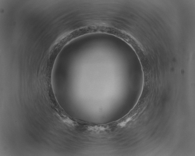 X0000051250919200506171132