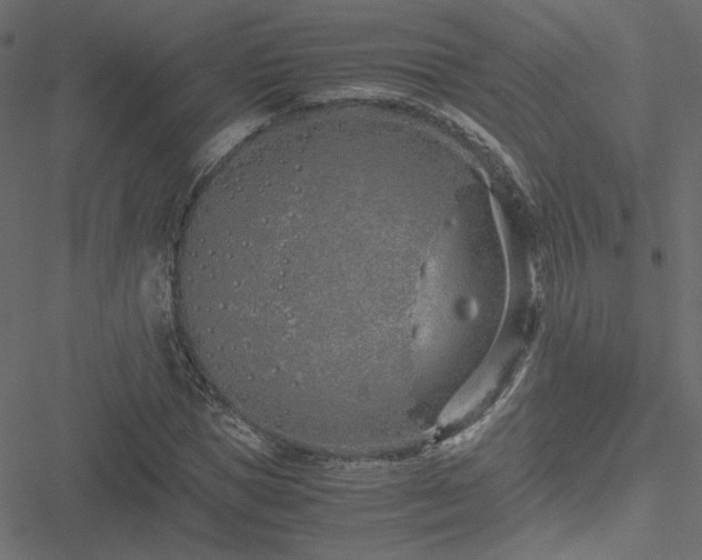 X0000051250921200506171132