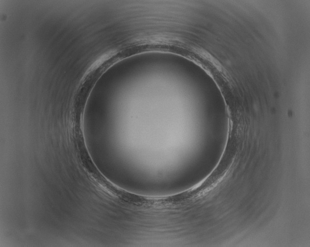 X0000051250922200506171132