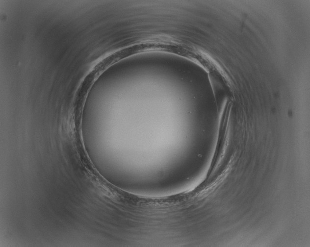 X0000051250923200506171132