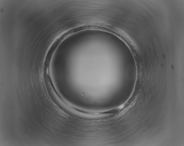 X0000051250924200506171132