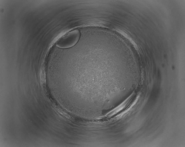 X0000051250925200506171132