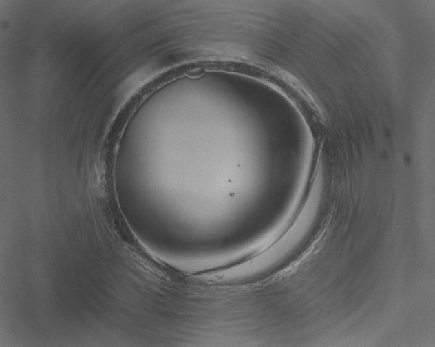 X0000051250926200506171132