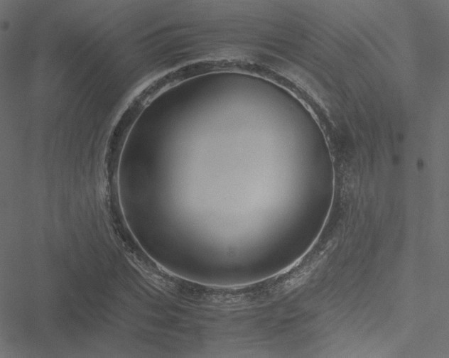 X0000051250927200506171132