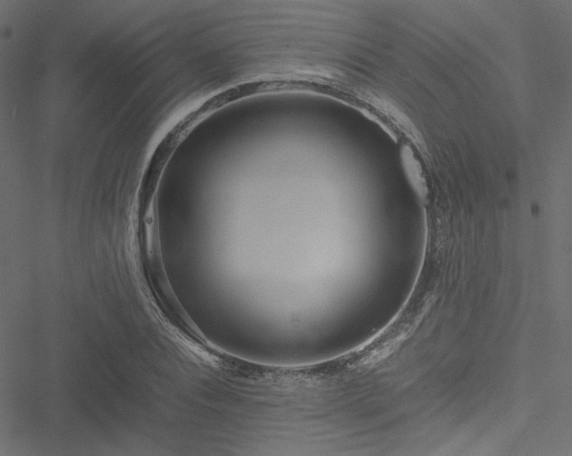 X0000051250928200506171132