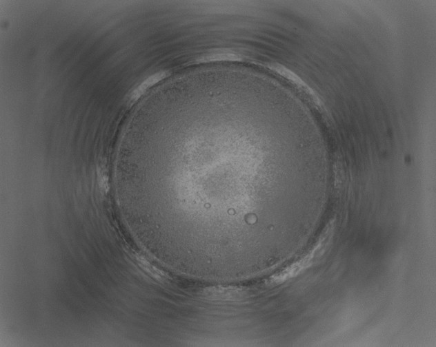 X0000051250929200506171132