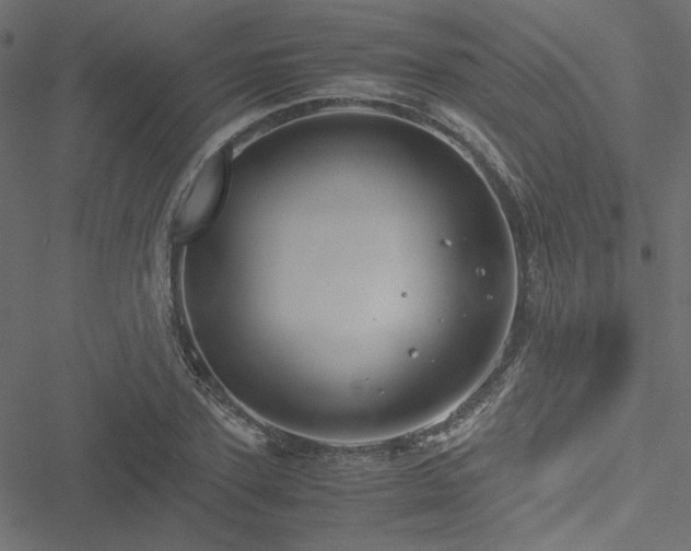 X0000051250931200506171132