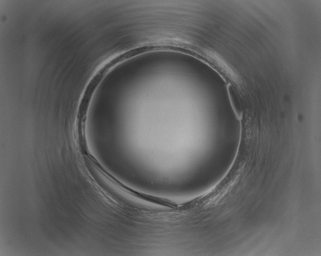 X0000051250932200506171132