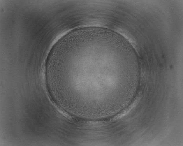 X0000051250933200506171132