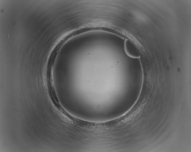 X0000051250934200506171132