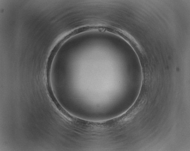 X0000051250935200506171132