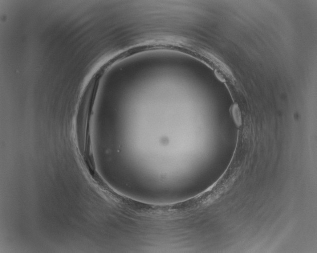 X0000051250936200506171132