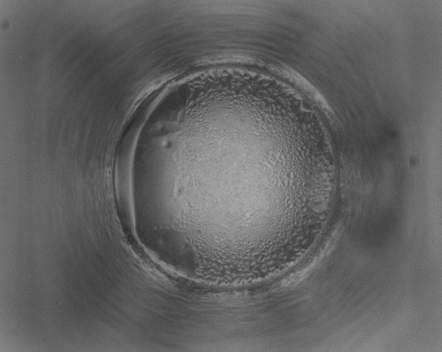 X0000051250937200506171132