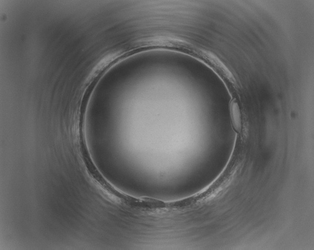 X0000051250938200506171132