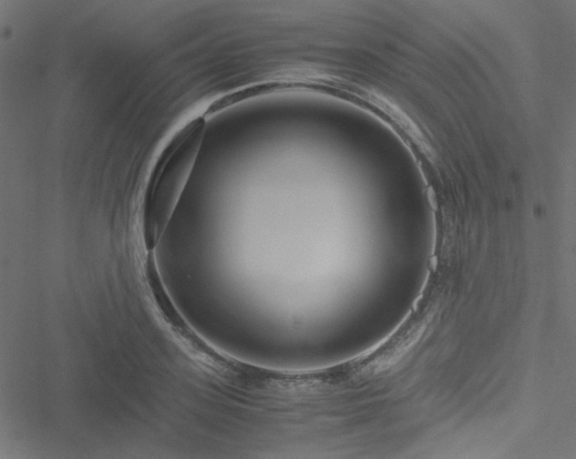 X0000051250939200506171132