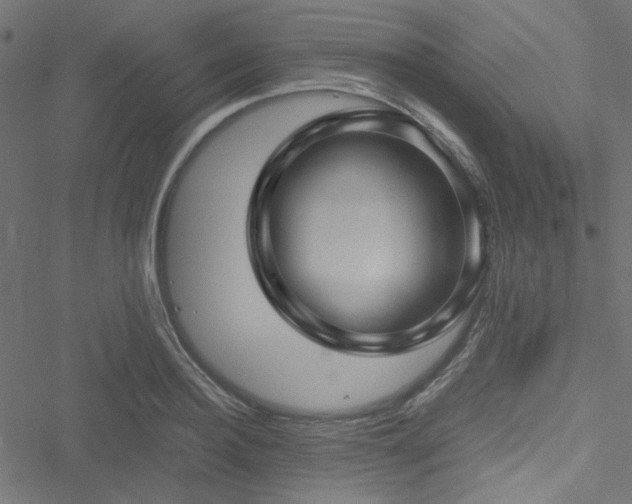 X0000051250940200506171132