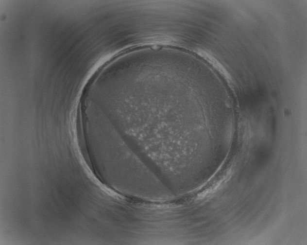 X0000051250941200506171132