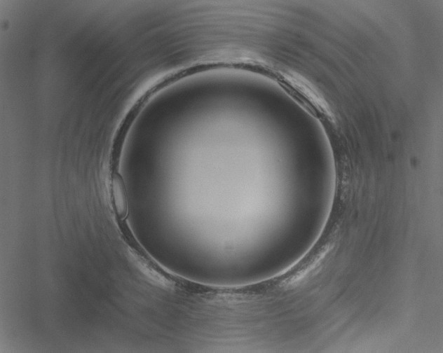 X0000051250942200506171132