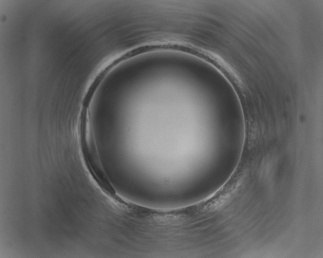 X0000051250943200506171132