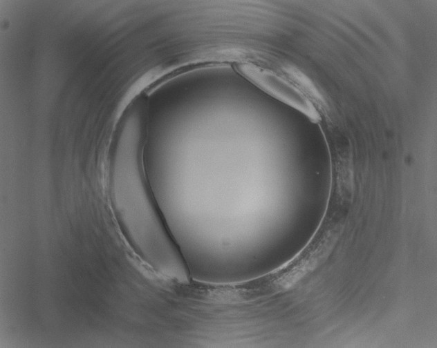 X0000051250944200506171132