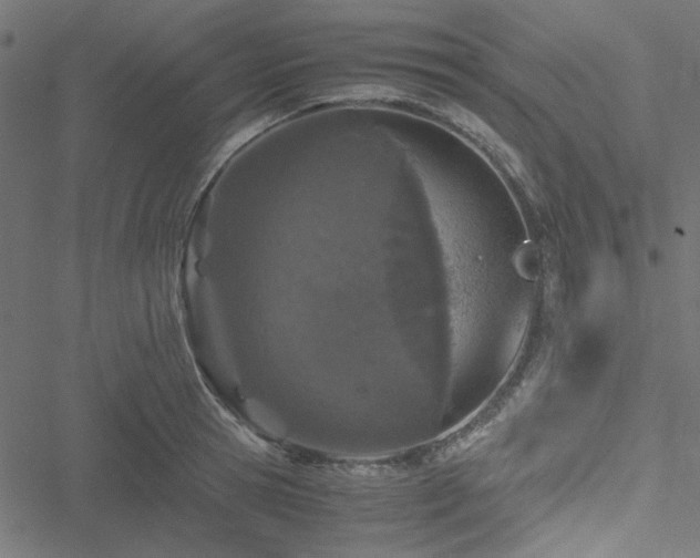 X0000051250945200506171132