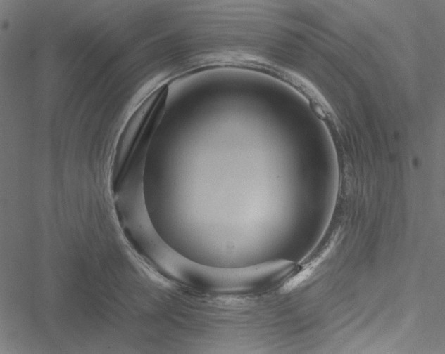 X0000051250946200506171132