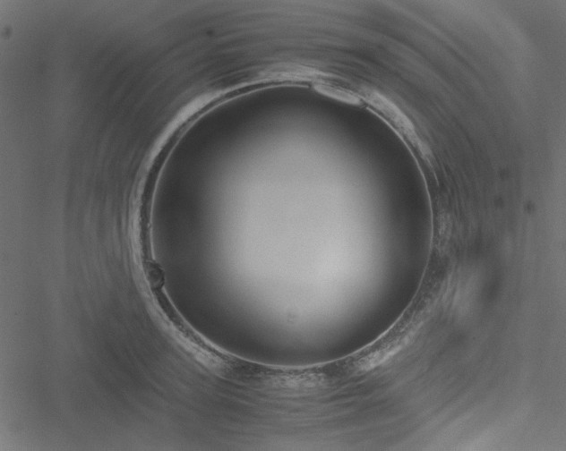 X0000051250947200506171132