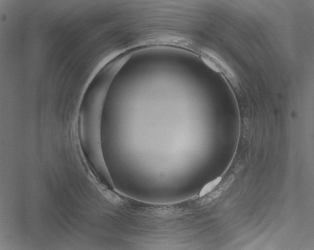 X0000051250948200506171132