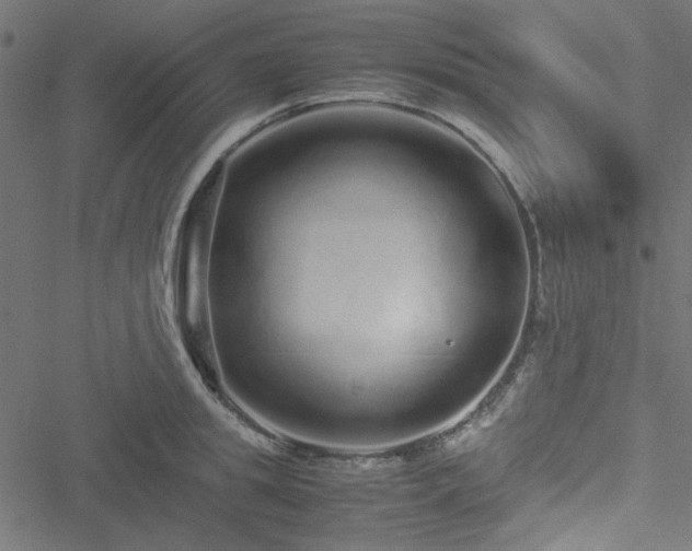 X0000051250949200506171132