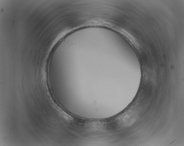 X0000051250950200506171132