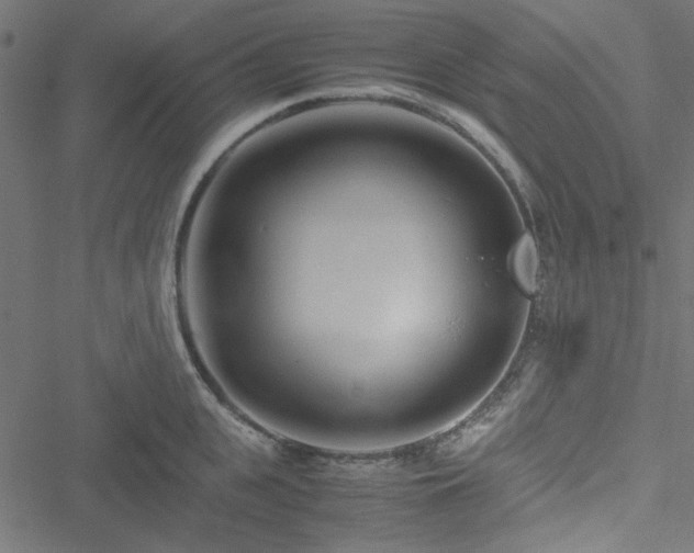 X0000051250951200506171132