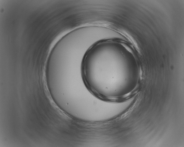 X0000051250952200506171132