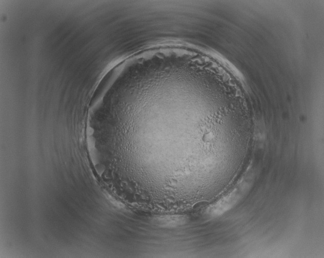 X0000051250953200506171132