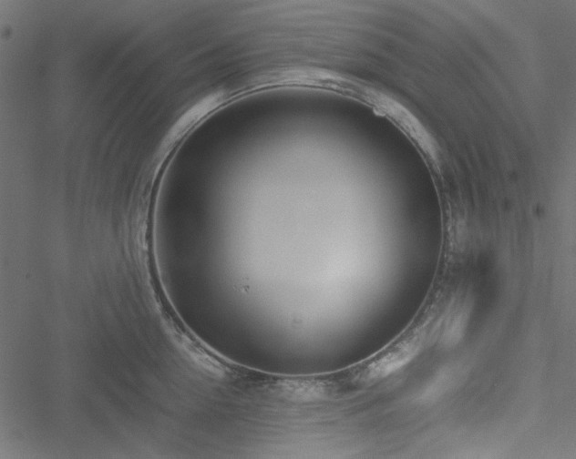 X0000051250954200506171132